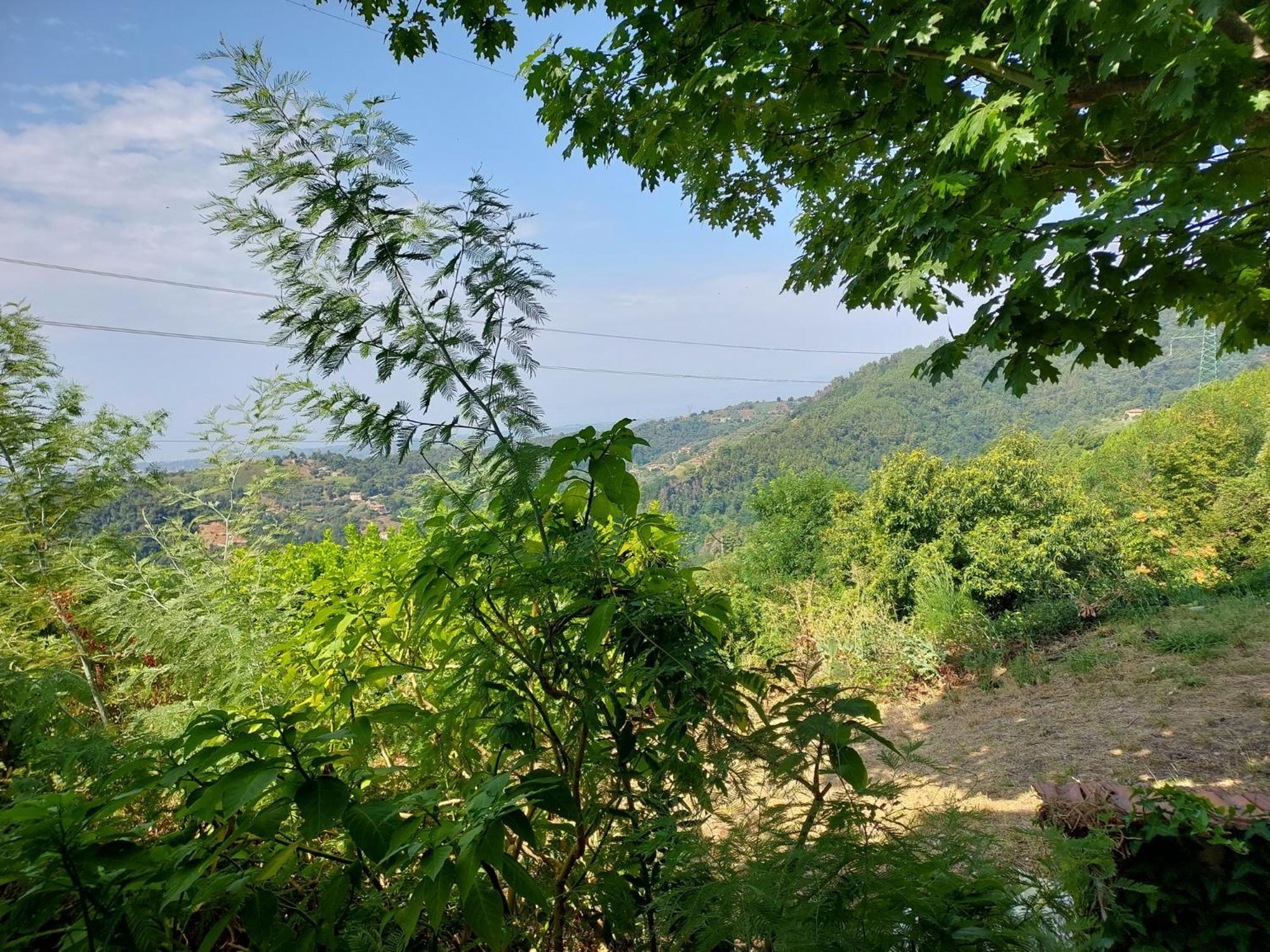 Strettoia Casa Peppina 빌라 외부 사진